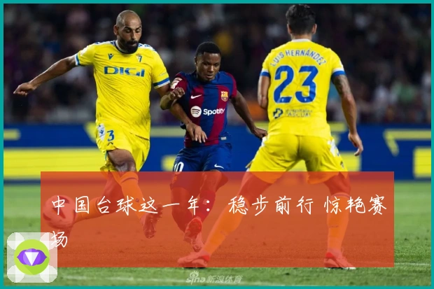 中国台球这一年：稳步前行 惊艳赛场