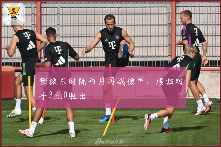 樊振东时隔两月再战德甲，横扫对手3比0胜出